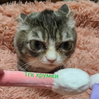 Telegram profile photo for Xpymk1