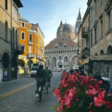 Telegram profile photo for local in padova