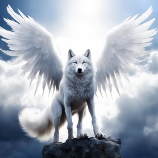 Telegram profile photo for Волк-мотылëк