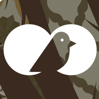 Telegram profile photo for Птичьи прогулки