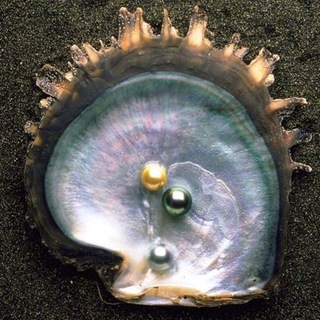 Telegram profile photo for neologism of mother-of-pearl.