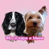 Telegram profile photo for ФБ Оскара и Мики