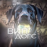 Telegram profile photo for VIP dogs 🥇🏆