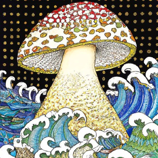 Telegram profile photo for Грибно-хвильовий дуалізм