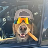 Telegram profile photo for 𝐓𝐑𝐄𝐃𝐄𝐗