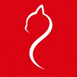 Telegram profile photo for Bamshi Women | بامشی زنانه