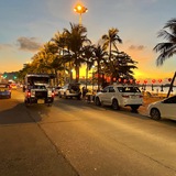 Telegram profile photo for PATTAYA TIMES 🌴