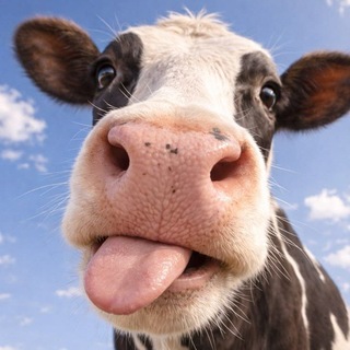 Telegram profile photo for ๐๐ฉ๐ก ๐ฝ๐ฟ๐ถ๐ฐ๐ฒ ๐น๐ถ๐๐