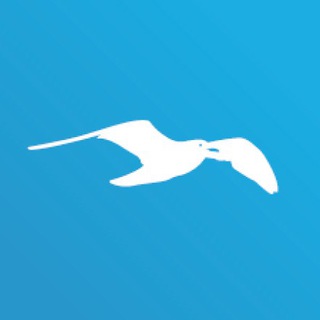 Telegram profile photo for СНТ Приморское (новости)