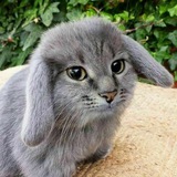 Telegram profile photo for Мой склад отзывов💅