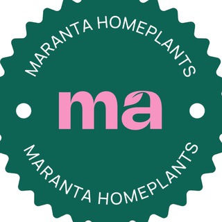 Telegram profile photo for Maranta Homeplants