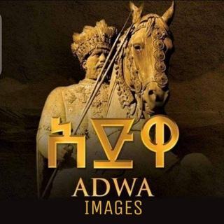 Telegram profile photo for ADWA IMAGES 📸