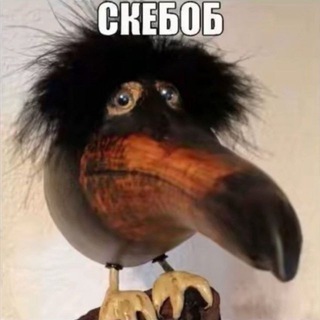Telegram profile photo for SKEBOB