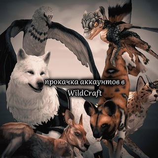 Telegram profile photo for Прокачка аккаунтов в WildCraft.