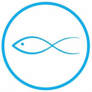 Telegram profile photo for Морепродукты N1