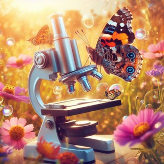 Telegram profile photo for تحليلات B1