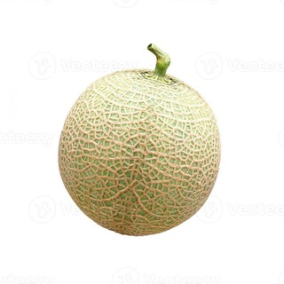 Telegram group profile photo for чат дикой ауры