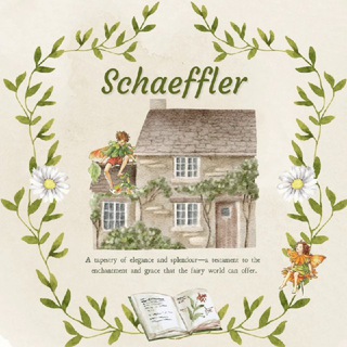 Telegram profile photo for SCHAEFFLER; Disbaned.