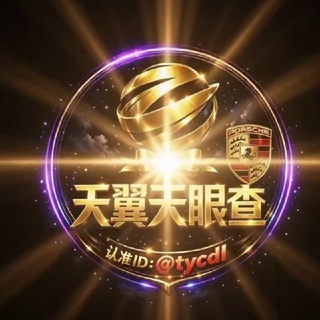 Telegram profile photo for 天翼天眼查档业务内容