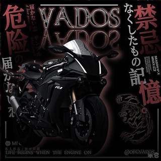 Telegram group profile photo for LPM VΛDØS