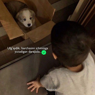 Telegram profile photo for Моя Жизнь