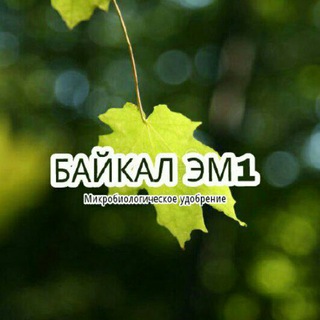 Telegram profile photo for BAYKAL EM 1.UZ_ Байкал Эм1