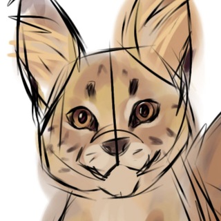 Telegram profile photo for Liorr