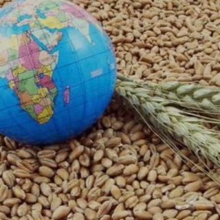 Telegram profile photo for Agro News UA - Агро Новини