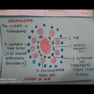 Telegram profile photo for Annotated notes