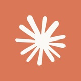 Telegram profile photo for You are absolutely right!