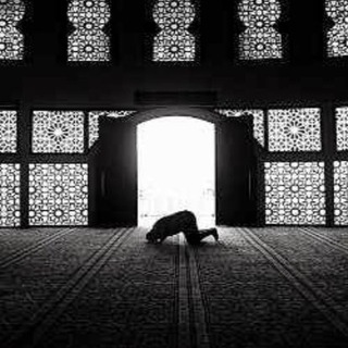 Telegram profile photo for اللهـُم غُفرانك🌿.