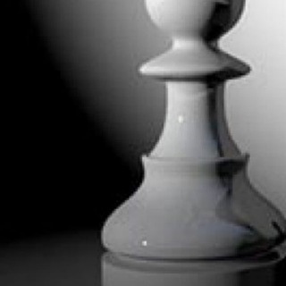 Telegram profile photo for The political shadow