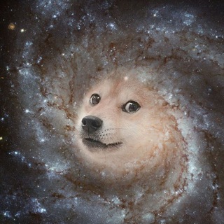 Telegram profile photo for Memeverse