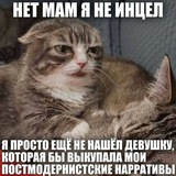 Telegram profile photo for Карс повелитель хамама Вадимость