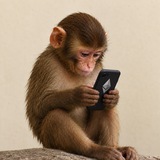 Telegram profile photo for ethfone