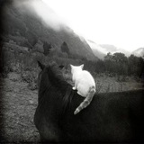 Telegram profile photo for R