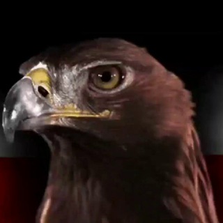 Telegram profile photo for GlobalPatriotMEMES 💣