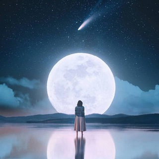 Telegram profile photo for On your own