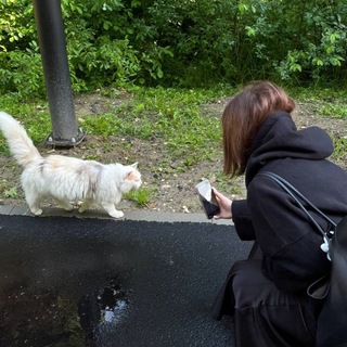 Telegram profile photo for тгк васюдки