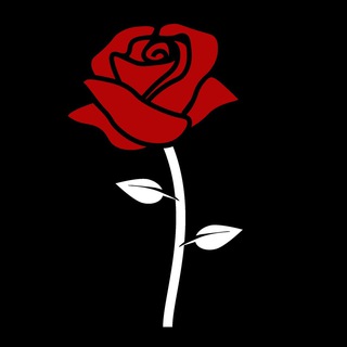 Telegram group profile photo for Mafia.Network