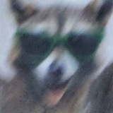 Telegram profile photo for ЛиндаИда щитпостит