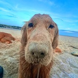 Telegram profile photo for MARMSY VERIFY CTO