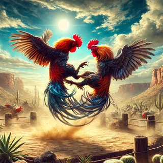 Telegram profile photo for Rooster Fights Club