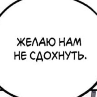 Telegram profile photo for Кофейник Тео (в отпуске)