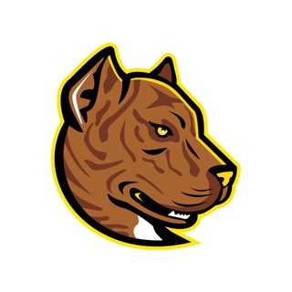 Telegram profile photo for AlanoEspañolRU