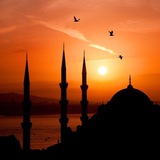 Telegram profile photo for فَجر