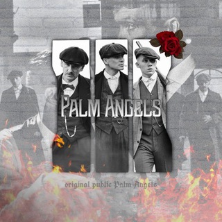 Telegram profile photo for Palm Angels 🇮🇹