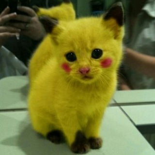 Telegram profile photo for аклачубО