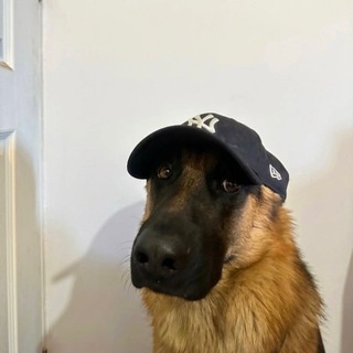 Telegram profile photo for Палыч?
