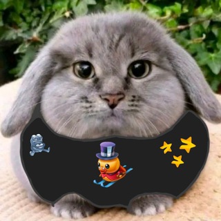 Telegram profile photo for Базук тим🌴